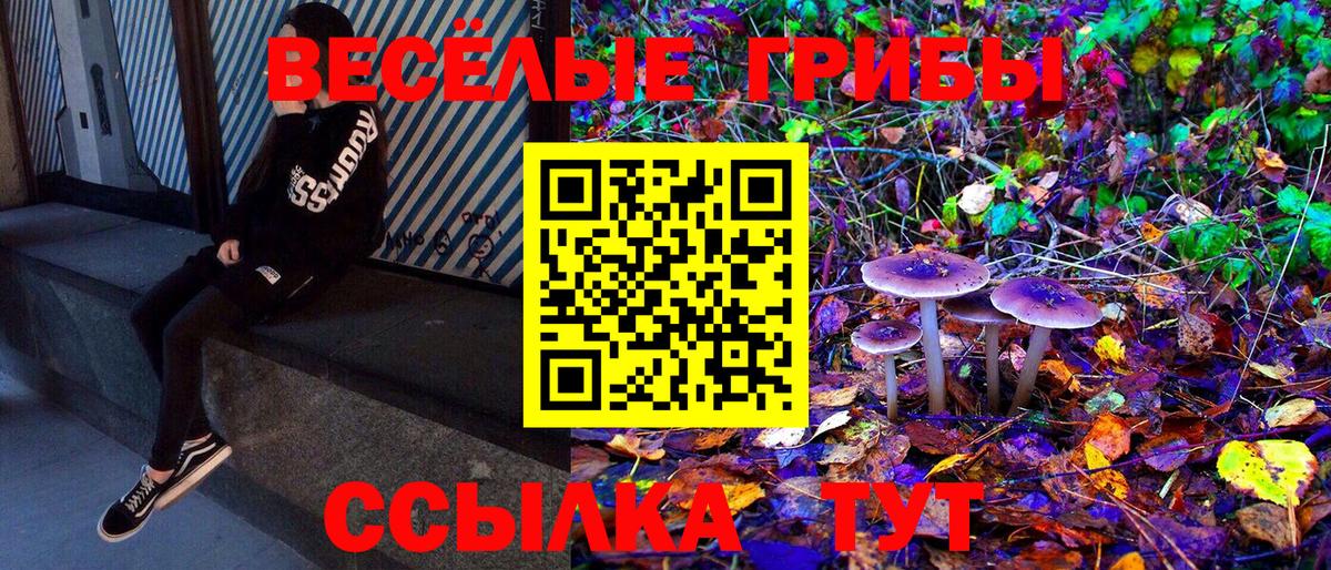 Псилоцибиновые грибы мухоморы Зима