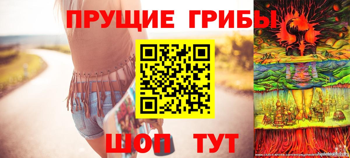 Зима  Псилоцибиновые грибы Psilocybe  Вход с VPN 